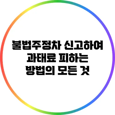 불법주정차 신고하여 과태료 피하는 방법의 모든 것