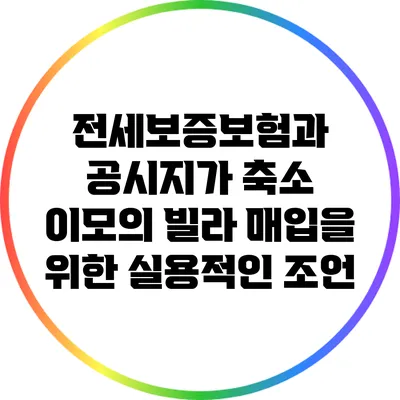 전세보증보험과 공시지가 축소: 이모의 빌라 매입을 위한 실용적인 조언