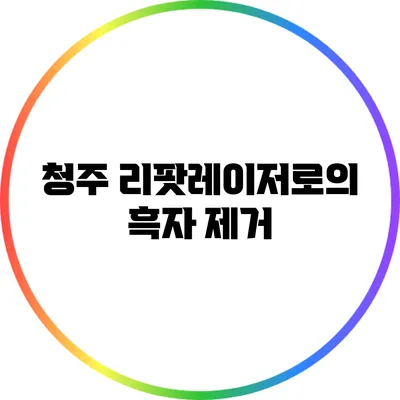 청주 리팟레이저로의 흑자 제거
