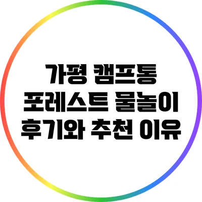 가평 캠프통 포레스트 물놀이 후기와 추천 이유