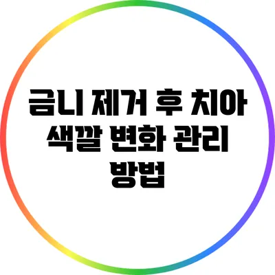 금니 제거 후 치아 색깔 변화 관리 방법