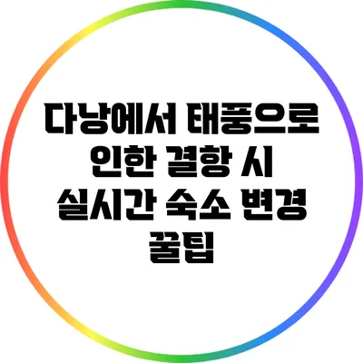 다낭에서 태풍으로 인한 결항 시 실시간 숙소 변경 꿀팁