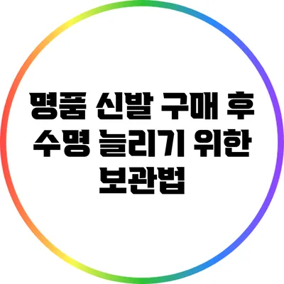 명품 신발 구매 후 수명 늘리기 위한 보관법