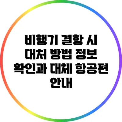 비행기 결항 시 대처 방법: 정보 확인과 대체 항공편 안내