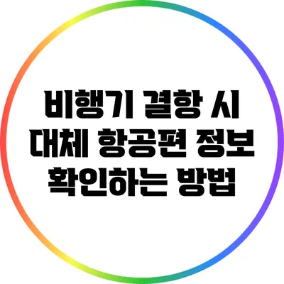 비행기 결항 시 대체 항공편 정보 확인하는 방법