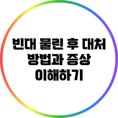 빈대 물린 후 대처 방법과 증상 이해하기