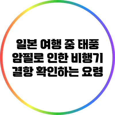 일본 여행 중 태풍 암필로 인한 비행기 결항 확인하는 요령