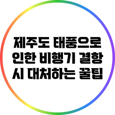 제주도 태풍으로 인한 비행기 결항 시 대처하는 꿀팁
