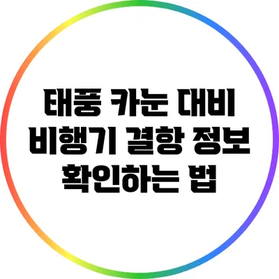 태풍 카눈 대비: 비행기 결항 정보 확인하는 법
