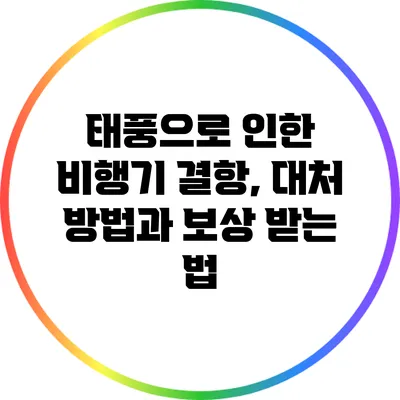 태풍으로 인한 비행기 결항, 대처 방법과 보상 받는 법