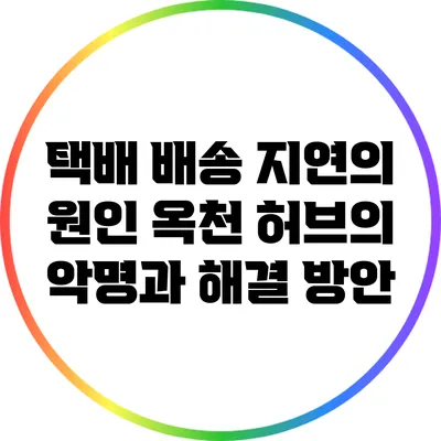 택배 배송 지연의 원인: 옥천 허브의 악명과 해결 방안