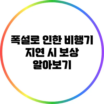 폭설로 인한 비행기 지연 시 보상 알아보기