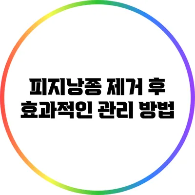 피지낭종 제거 후 효과적인 관리 방법