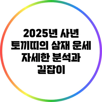 2025년 사년 토끼띠의 삼재 운세: 자세한 분석과 길잡이