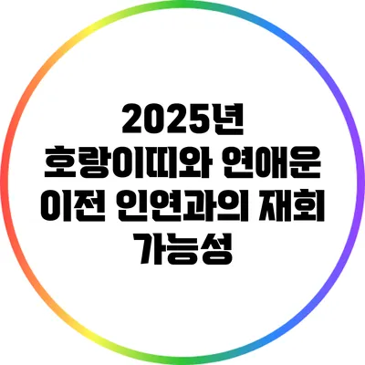 2025년 호랑이띠와 연애운: 이전 인연과의 재회 가능성