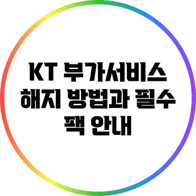 KT 부가서비스 해지 방법과 필수 팩 안내