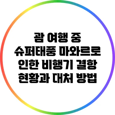 괌 여행 중 슈퍼태풍 마와르로 인한 비행기 결항 현황과 대처 방법