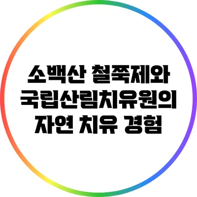 소백산 철쭉제와 국립산림치유원의 자연 치유 경험