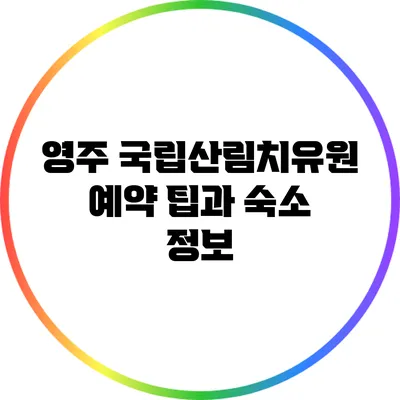 영주 국립산림치유원 예약 팁과 숙소 정보