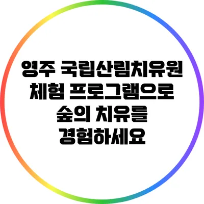 영주 국립산림치유원 체험 프로그램으로 숲의 치유를 경험하세요