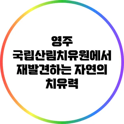 영주 국립산림치유원에서 재발견하는 자연의 치유력