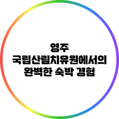 영주 국립산림치유원에서의 완벽한 숙박 경험