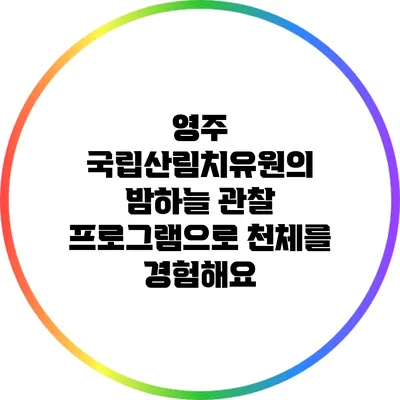 영주 국립산림치유원의 밤하늘 관찰 프로그램으로 천체를 경험해요