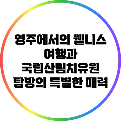 영주에서의 웰니스 여행과 국립산림치유원 탐방의 특별한 매력