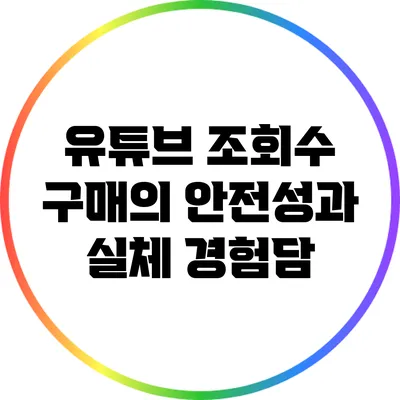 유튜브 조회수 구매의 안전성과 실체 경험담