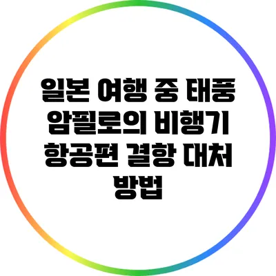일본 여행 중 태풍 암필로의 비행기 항공편 결항 대처 방법