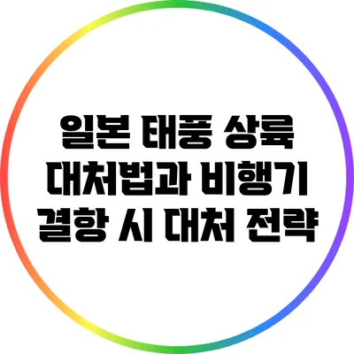일본 태풍 상륙 대처법과 비행기 결항 시 대처 전략