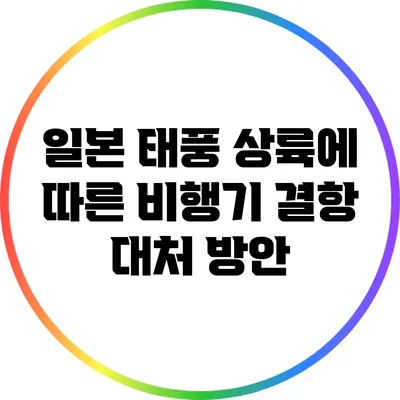 일본 태풍 상륙에 따른 비행기 결항 대처 방안