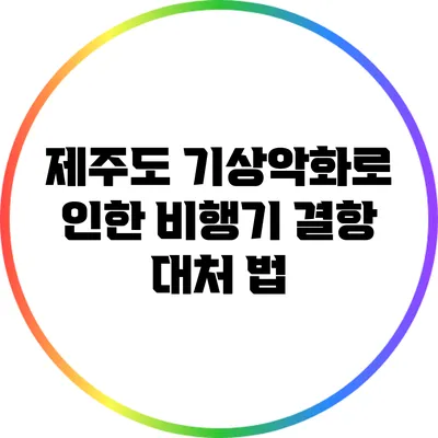 제주도 기상악화로 인한 비행기 결항 대처 법