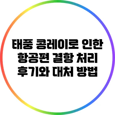 태풍 콩레이로 인한 항공편 결항 처리 후기와 대처 방법