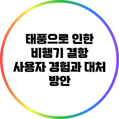 태풍으로 인한 비행기 결항 : 사용자 경험과 대처 방안
