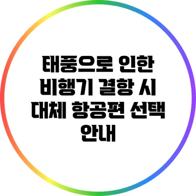 태풍으로 인한 비행기 결항 시 대체 항공편 선택 안내