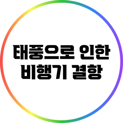 태풍으로 인한 비행기 결항