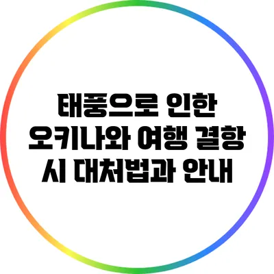 태풍으로 인한 오키나와 여행 결항 시 대처법과 안내