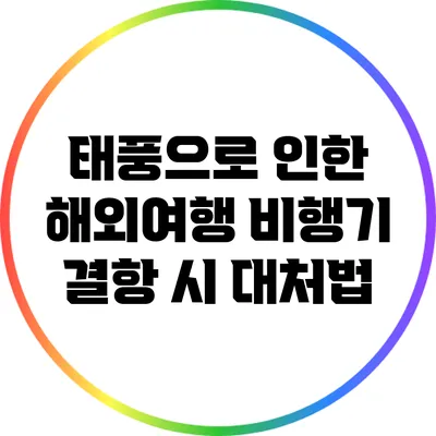 태풍으로 인한 해외여행 비행기 결항 시 대처법