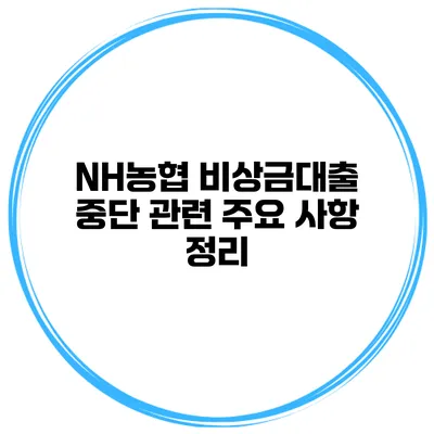 NH농협 비상금대출 중단 관련 주요 사항 정리