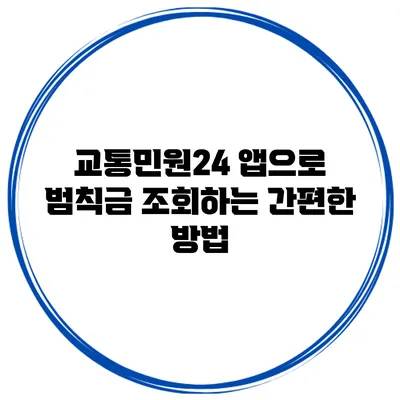 교통민원24 앱으로 범칙금 조회하는 간편한 방법