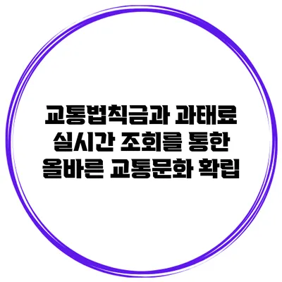 교통법칙금과 과태료 실시간 조회를 통한 올바른 교통문화 확립