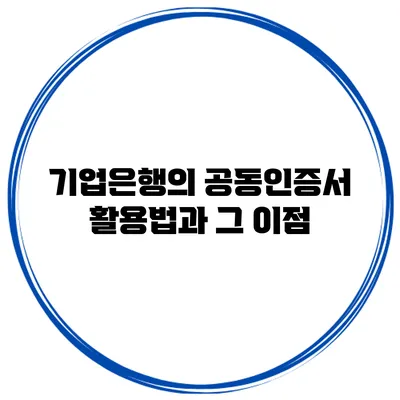 기업은행의 공동인증서 활용법과 그 이점