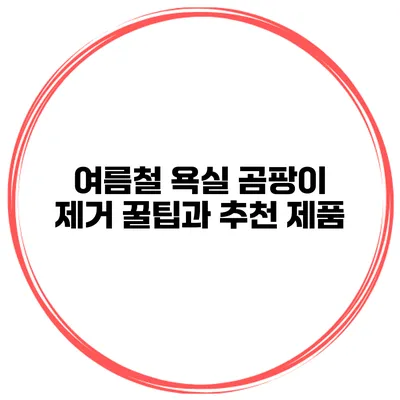 여름철 욕실 곰팡이 제거 꿀팁과 추천 제품