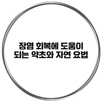장염 회복에 도움이 되는 약초와 자연 요법