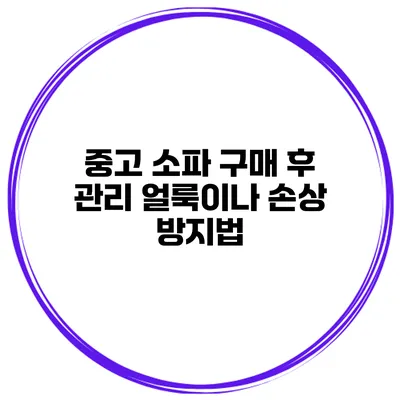 중고 소파 구매 후 관리 얼룩이나 손상 방지법