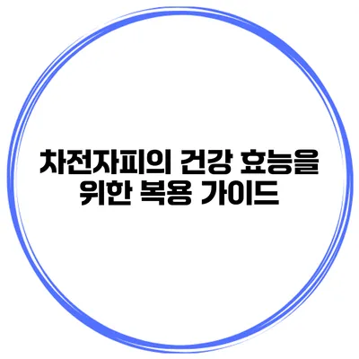 차전자피의 건강 효능을 위한 복용 가이드