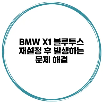 BMW X1 블루투스 재설정 후 발생하는 문제 해결