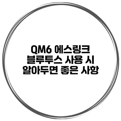 QM6 에스링크 블루투스 사용 시 알아두면 좋은 사항