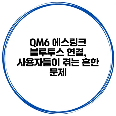 QM6 에스링크 블루투스 연결, 사용자들이 겪는 흔한 문제